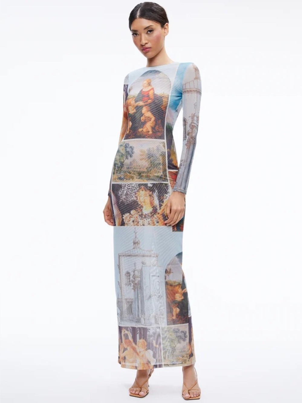 Alice and Olivia Delora Maxi Sunday Dreaming Dress 8